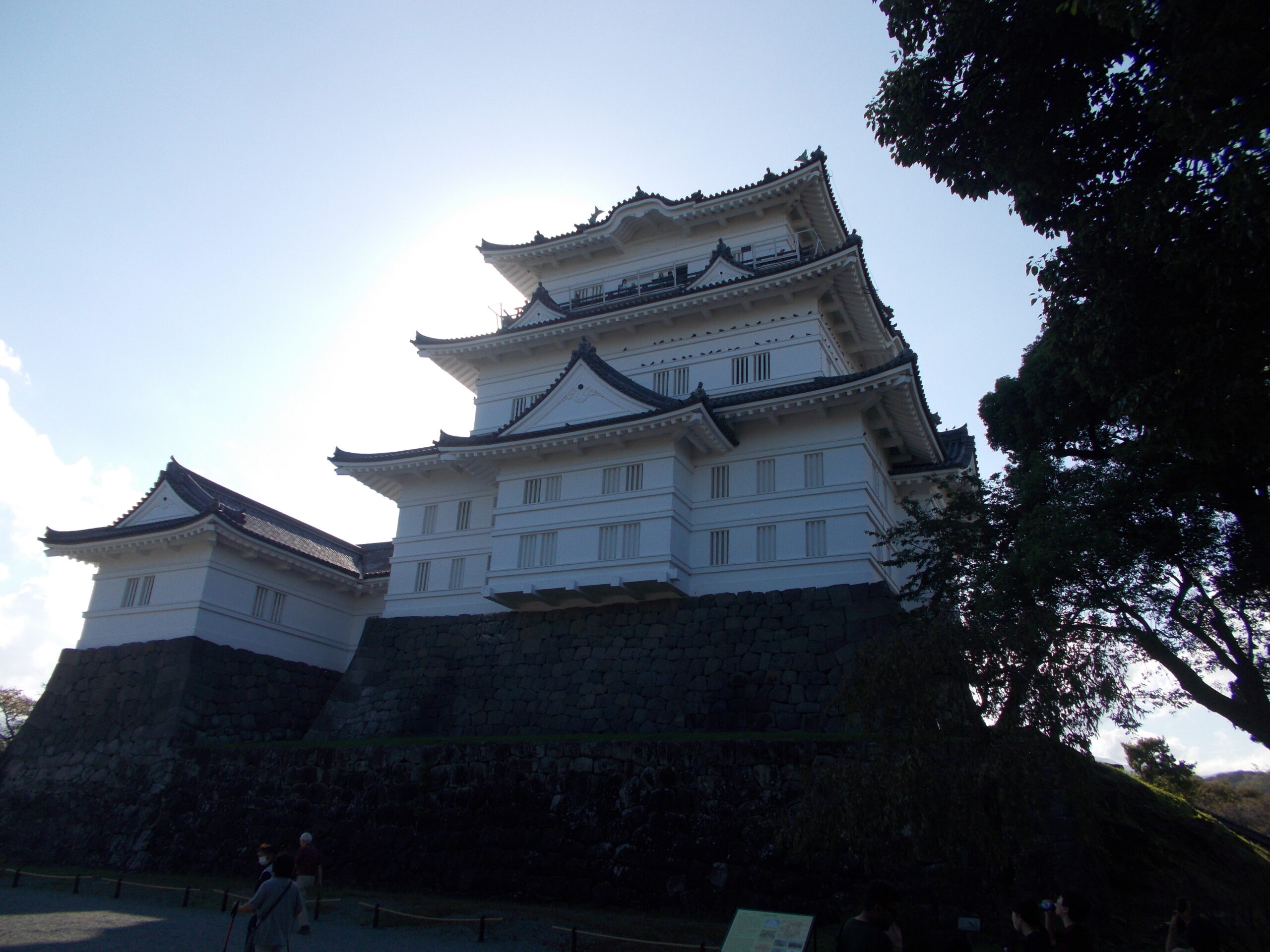 神奈川県