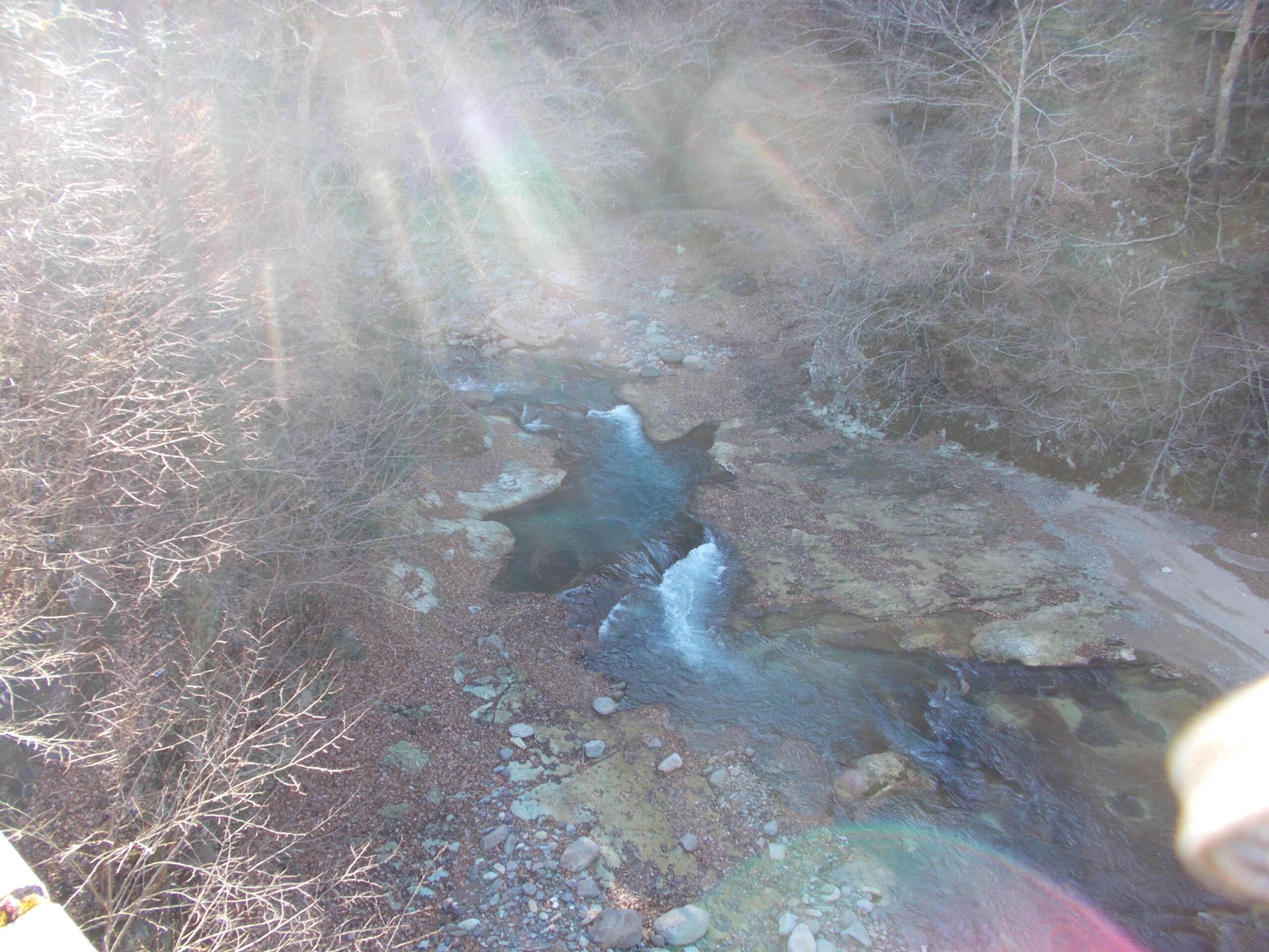 栃木県